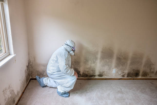 Best Crawl Space Mold Removal  in Silver Firs, WA